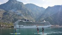 Half-Day Stand Up Paddle Board Rental in Kotor