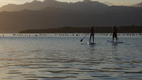 Stand-up-Paddling à Kotor Bay