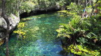 3 Cenotes Tour with Lunch: Dos Ojos, Misterio and Nikte-Ha