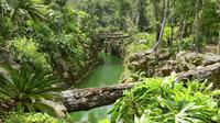Cenotes Tour à Cancun avec aller-retour Transfert aéroport