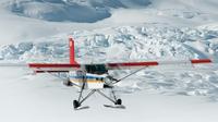 20-Minute Glacier Ski Plane Tour from Mount Cook