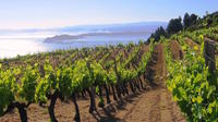 Private Tour: Kefalonia Wine Discovery with Gastronomic or Picnic Lunch