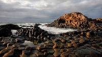 Tagestour zum Giant's Causeway ab Belfast Tagestour zum Giant's Causeway ab Belfast