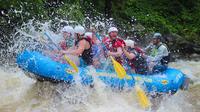 Upper Pigeon Smoky Mountain River Rafting