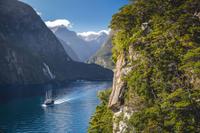 Croisière dans la région sauvage du Doubtful Sound au départ de Te Anau