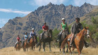 Half-Day Walter Peak Horse Trek from Queenstown