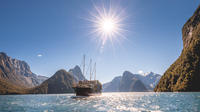 Milford Sound Nature Cruise