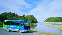 Stewart Island: Village and Bays Tour