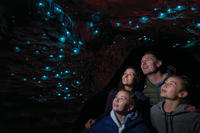 Te Anau tour naar de grotten met glimwormpjes Te Anau tour naar de grotten met glimwormpjes