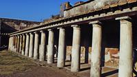 Pompeii Mt Vesuvius and Winery Private Tour