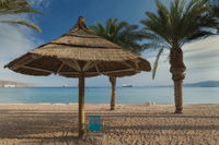 2 nuits à Aqaba with aller-retour Amman DEPUIS