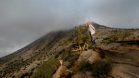 Overnight at Dana Lodge Nature Reserve from Amman