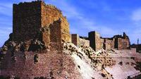 Privé Journée Château Croisés de Jordanie Shobak et Karak Kings Highway Tour de Amman