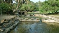 Private Half Day Tour to the Baptism Site or Bethany from Amman