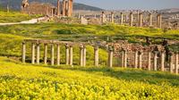 Private Tour: 2-Night 3-Day Mystical Jordan Tour to Jerash, Madaba, Mount Nebo, Dead Sea and Petra