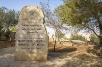 Visite privé: excursion d'Une demi-journée à Madaba, au Mont Nebo et à Amman