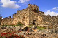 Visite privé: visite des châteaux du désert et de la Jordanie orientale Amman DEPUIS