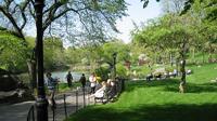 Central Park and Upper East Side Walking Tour