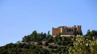 Amman Jerash and Ajloun Castle Private Day Trip