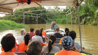 Weston Fireflies River Cruise from Kota Kinabalu City