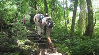 Private Day Tour: Cuc Phuong National Park from Hanoi