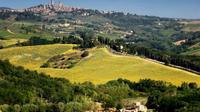 Excursion d'une journée Sienne et San Gimignano de Rome