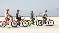 Private Bike Ride or Bike Excursion : Electric Or Traditional Guided Bike Rides In Savannah