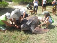 7-Day Grenada Marine Biology Scuba Diving Course with Accomodation