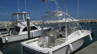 Puerto Plata Deep Sea Fishing Tour