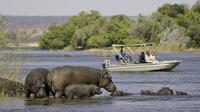 Chobe Extended Day Trip from Victoria Falls