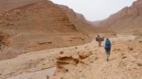 Trekking and Cultural Tour from Tinghir