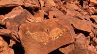 Aboriginal Rock Art Day Trip with Indigenous Guide from Karratha