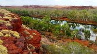 Millstream Day Trip with Indigenous Guide from Karratha