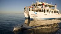 Jervis Bay Dolphin Watch Cruise