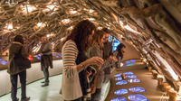 Imagen Guided Visit and Wine Tasting in a Royal Wine Cellar in Paris