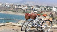 Bohemian and Beach Bike Tour in Lima