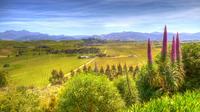 Full-Day Wine Gourmet and Scenic Delight Tour from Blenheim