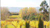 Private Tour: Marlborough Winter Wine and Scenic Tour from Blenheim