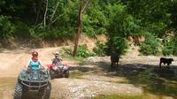 Private Tour: Rancho Las Vegas ATV Adventure