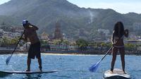 Stand-Up Paddle Board Lesson in Puerto Vallarta