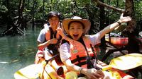 Mangrove Forest Kayaking Tour from Langkawi