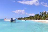 Saona Island Full-Day Tour from Punta Cana