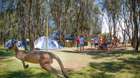 2-Day Winter Surf Camp on the NSW South Coast