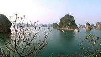 Halong Bay Day Cruise Including Seafood Lunch from Hanoi