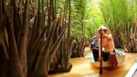 Mekong Delta River Cruise Including Lunch and Vinh Trang Pagoda