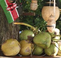 Croydon Plantation with Jamaican Lunch