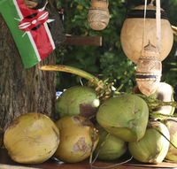 La Plantation Croydon with déjeuner jamaïcain