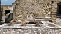 Herculaneum Private Walking Tour