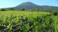 Pompeii and Vesuvius Wine-Tasting Tour