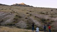3-Journée des parcs nationaux autour de Oulan-Bator Visite